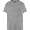 DAILY" Grey Trucker Tee Shirt