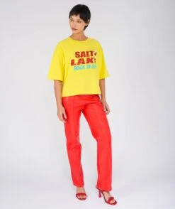 CITY" Crop Crooper Sun Tee Shirt -Newtone Brand newtone brand ss25 crooper sun city 2