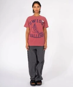 SWISS" Trucker Brick Tee Shirt -Newtone Brand trucker swiss brick newtone brand fw25 3